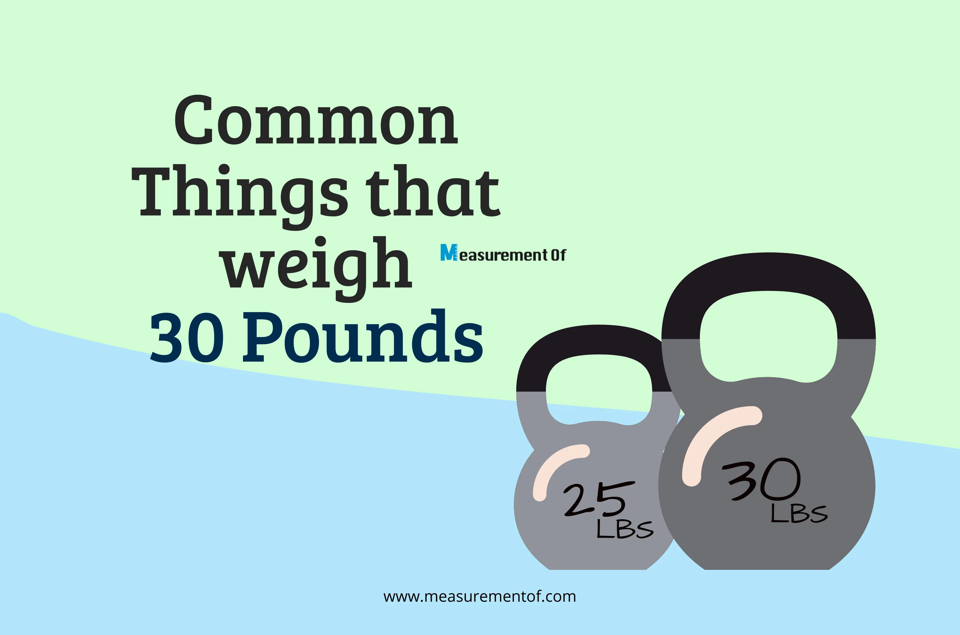 10 Common Things That Weigh 30 Pounds bog banner