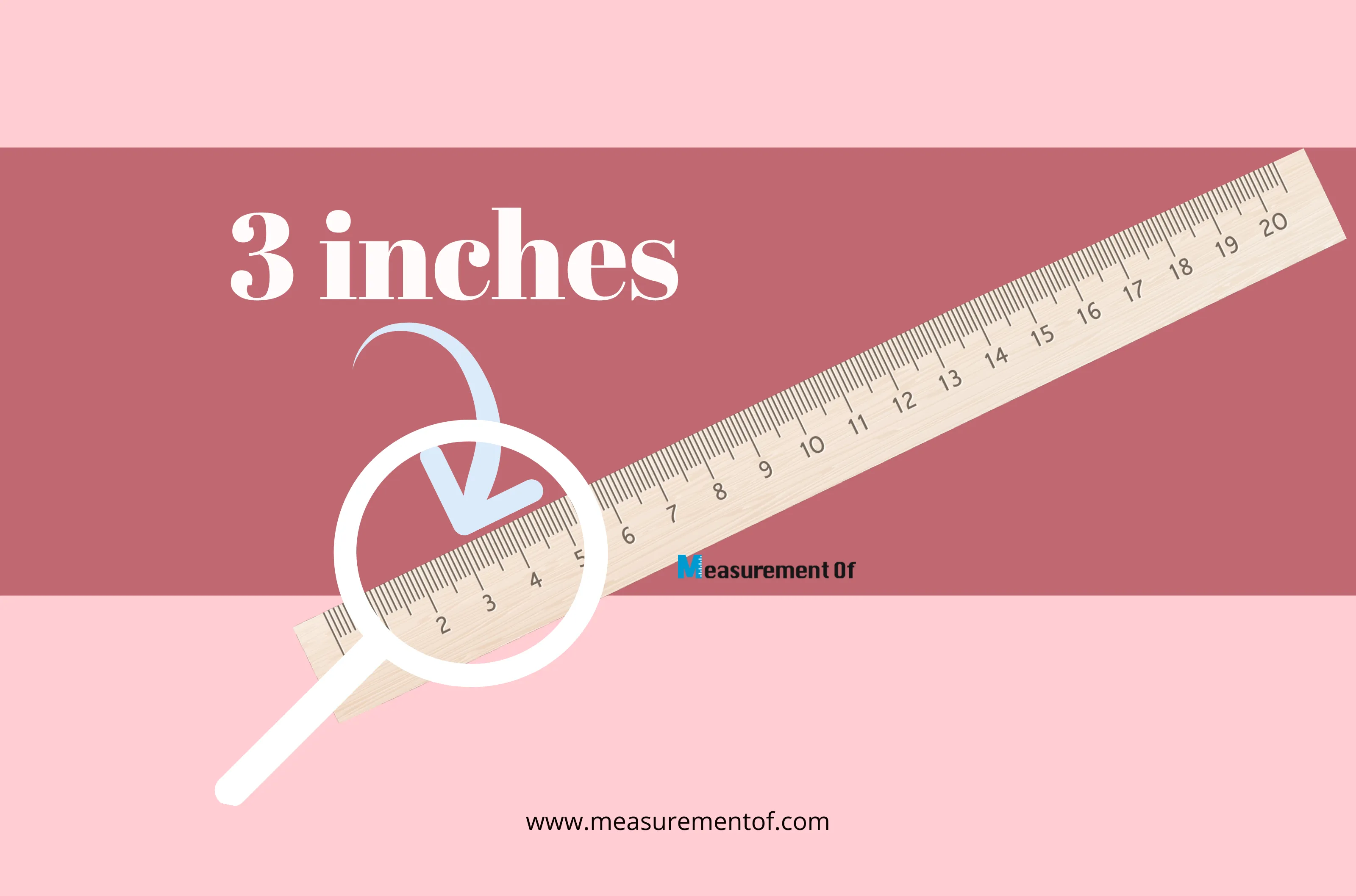 9 Common Things That Are 3 Inches Long blog header