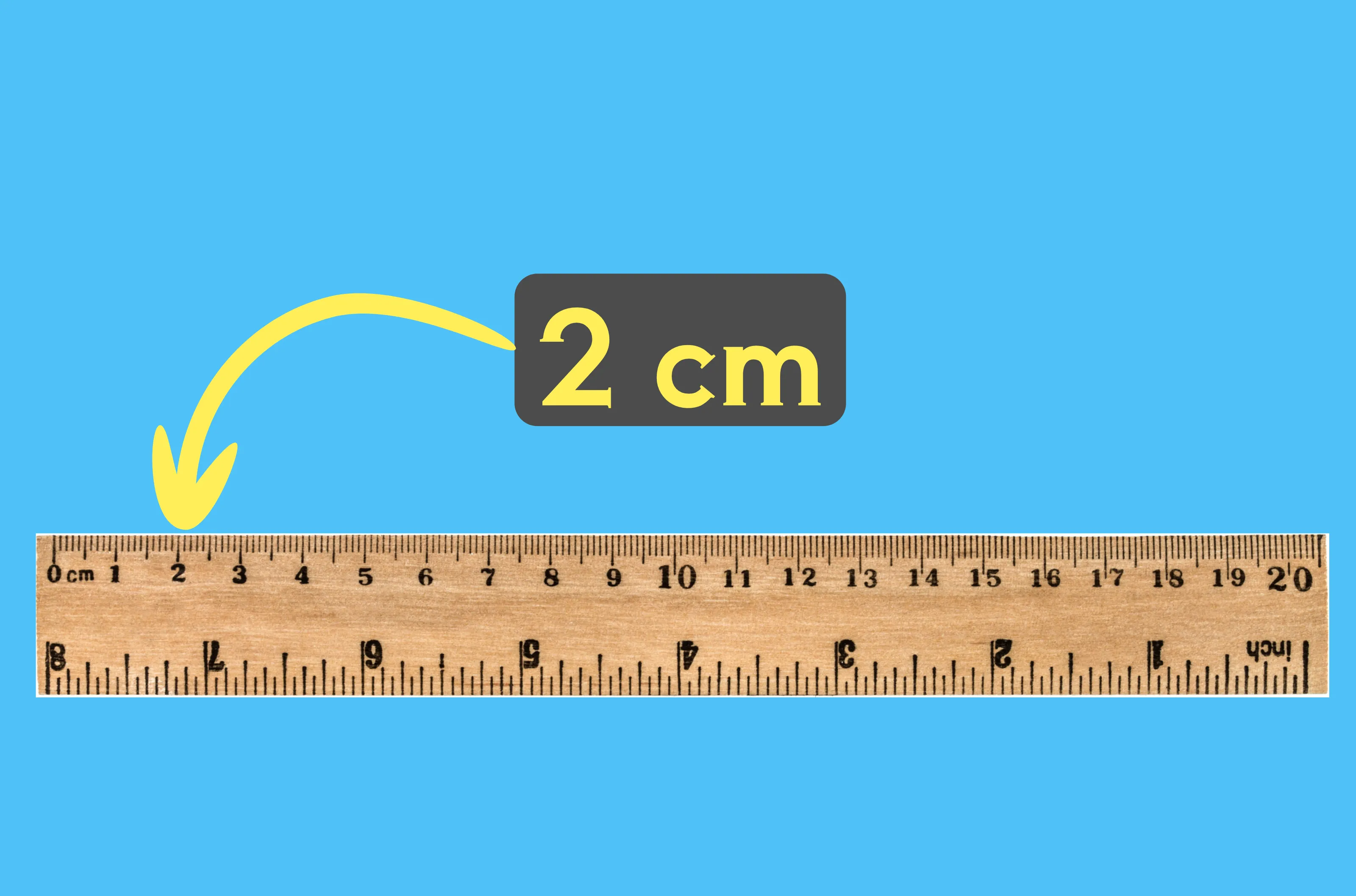 11 Everyday Things That Are 2 Centimeters Long blog header