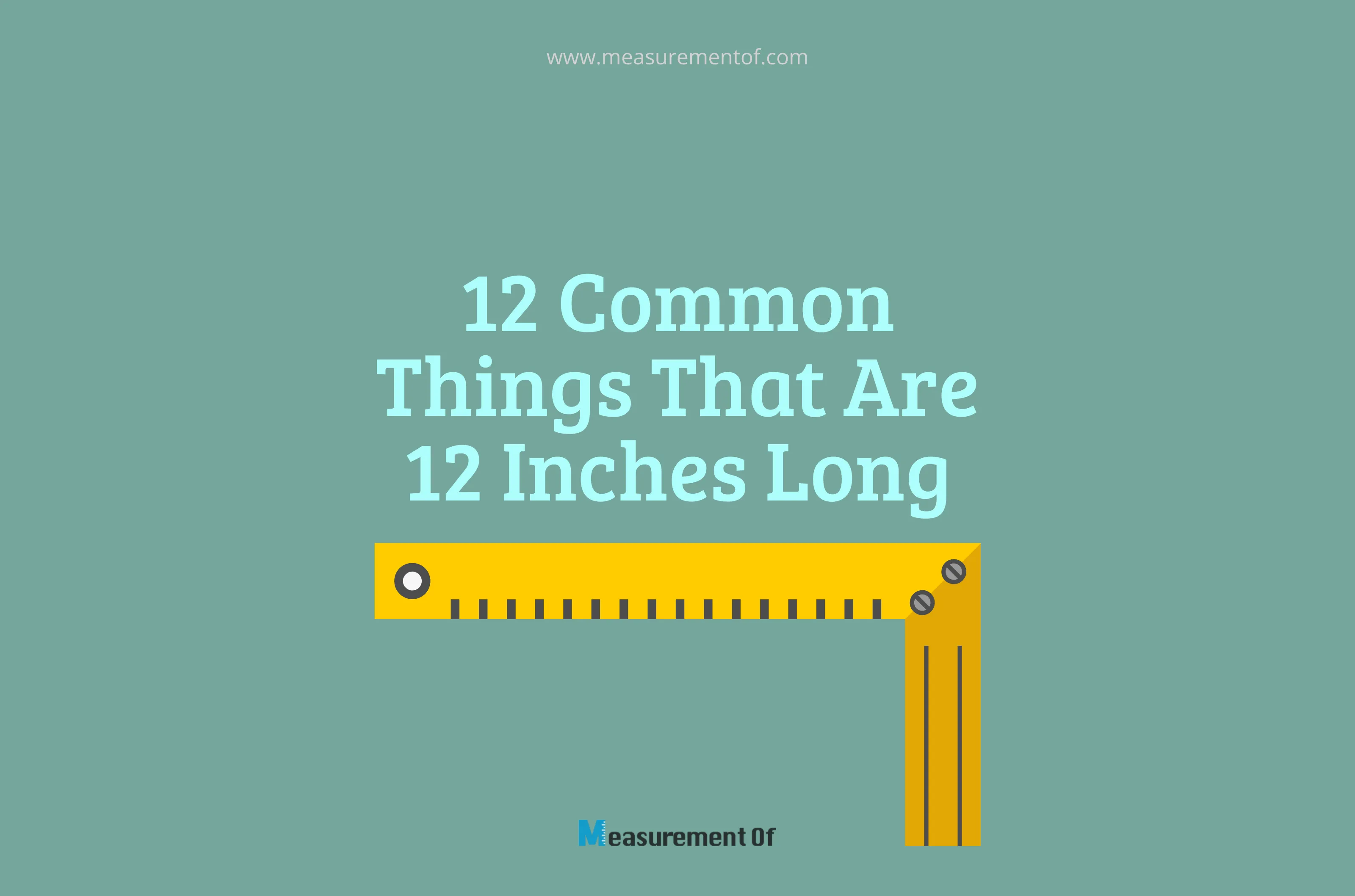 12 Common Things That Are 12 Inches Long