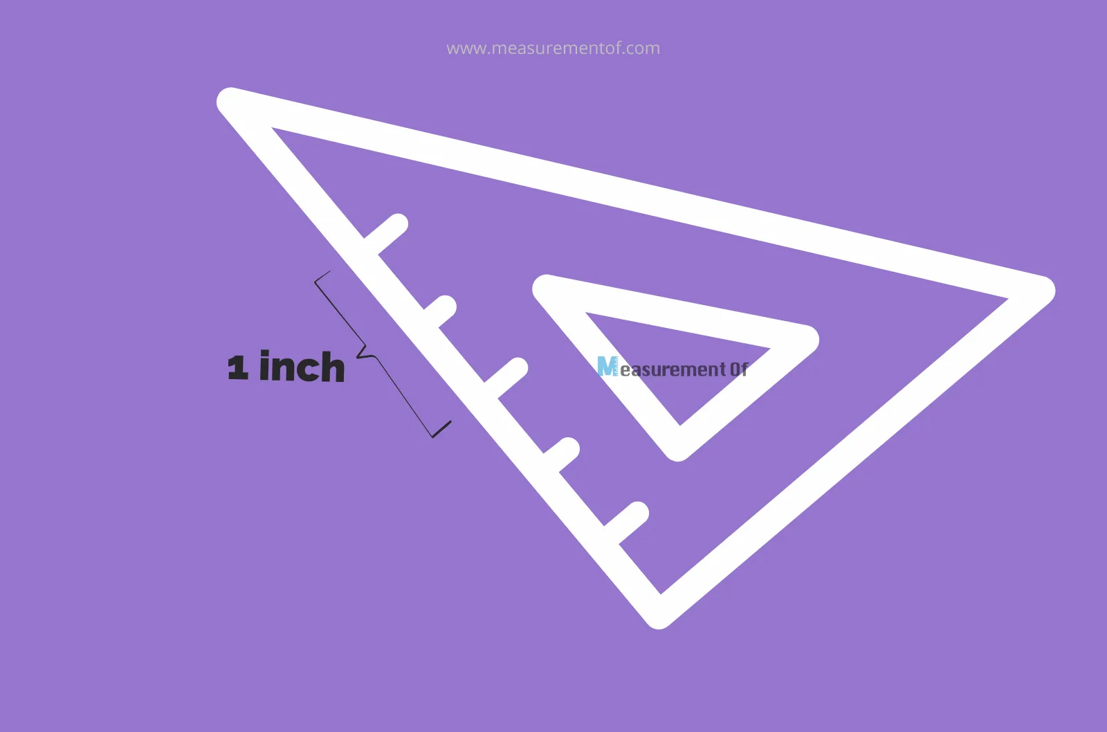 12 things that are only an inch long blog header.webp