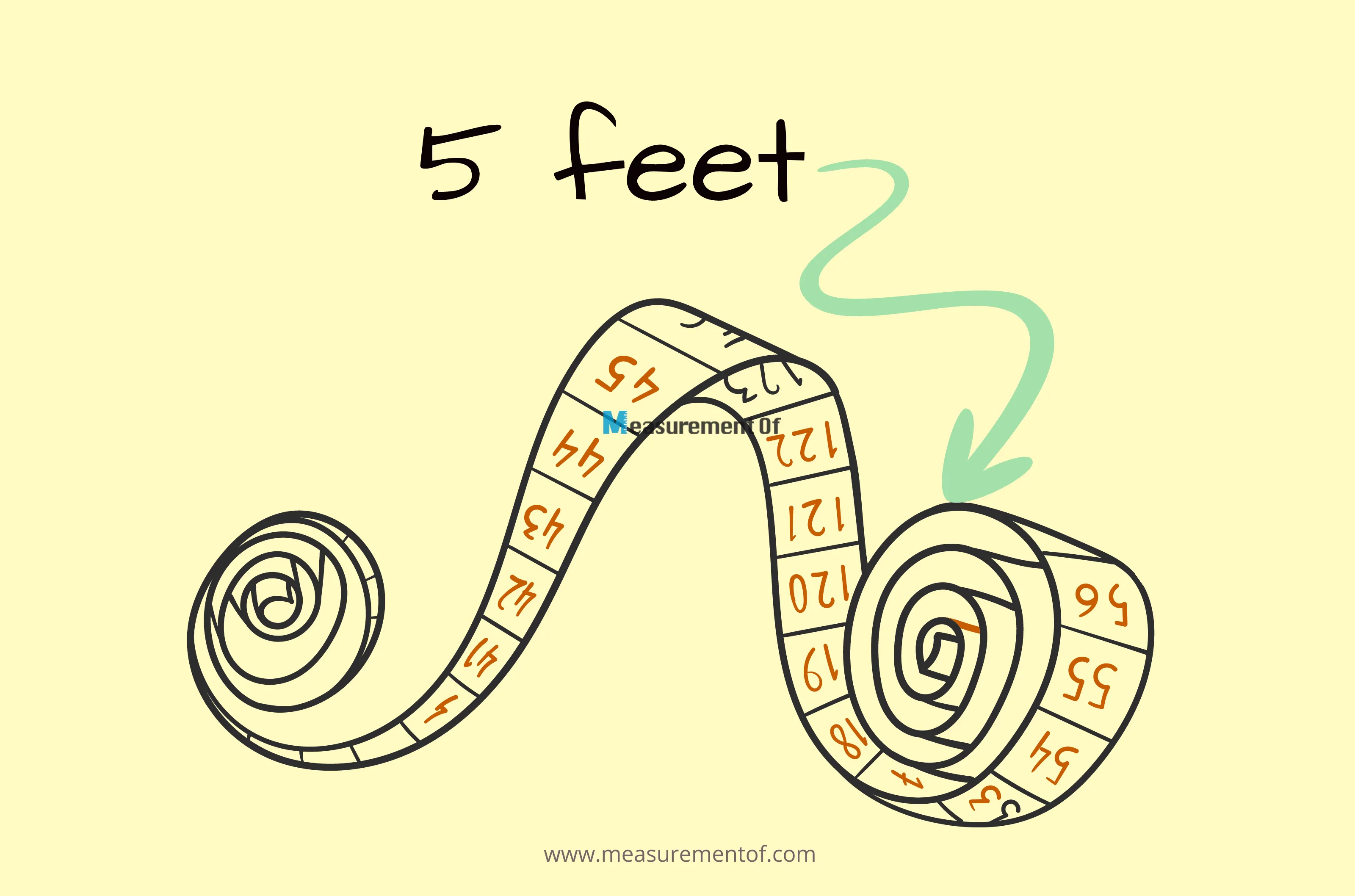 15 Common Things That Are 5 Feet Long blog banner