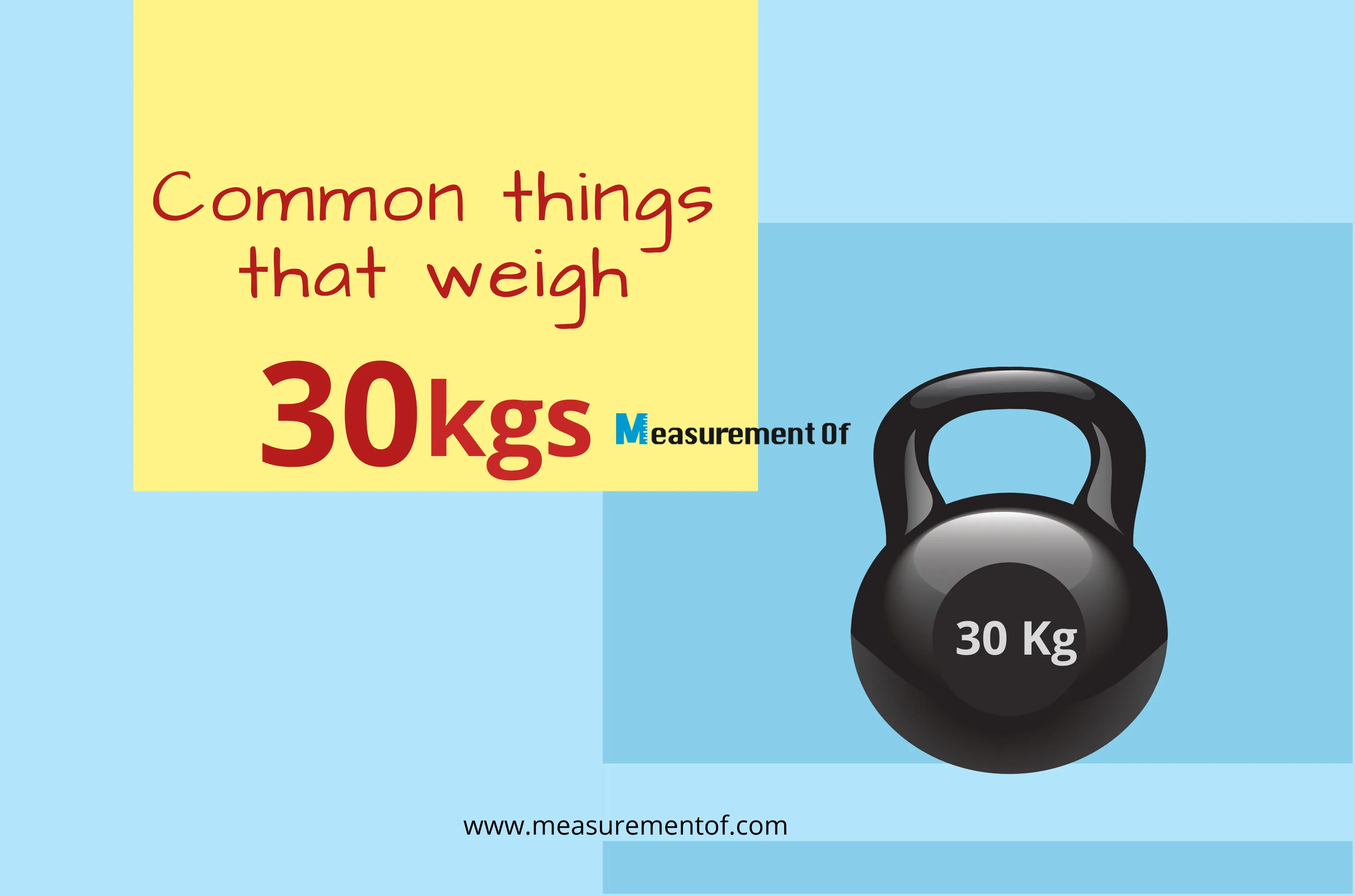 Common Things That are 30 Kgs weight reference