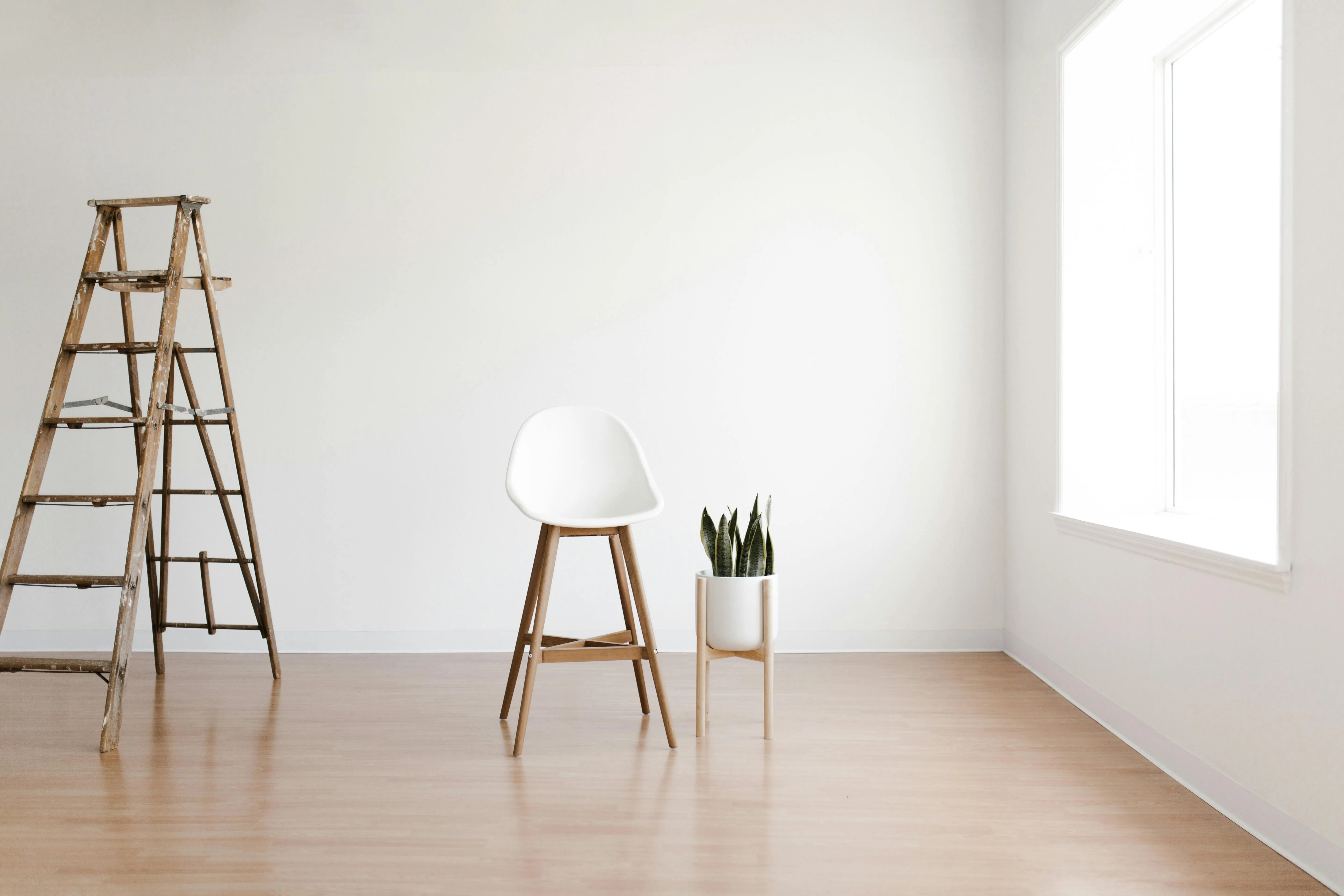 In a room near a window there are a ladder, a white chair, and a snake plant.