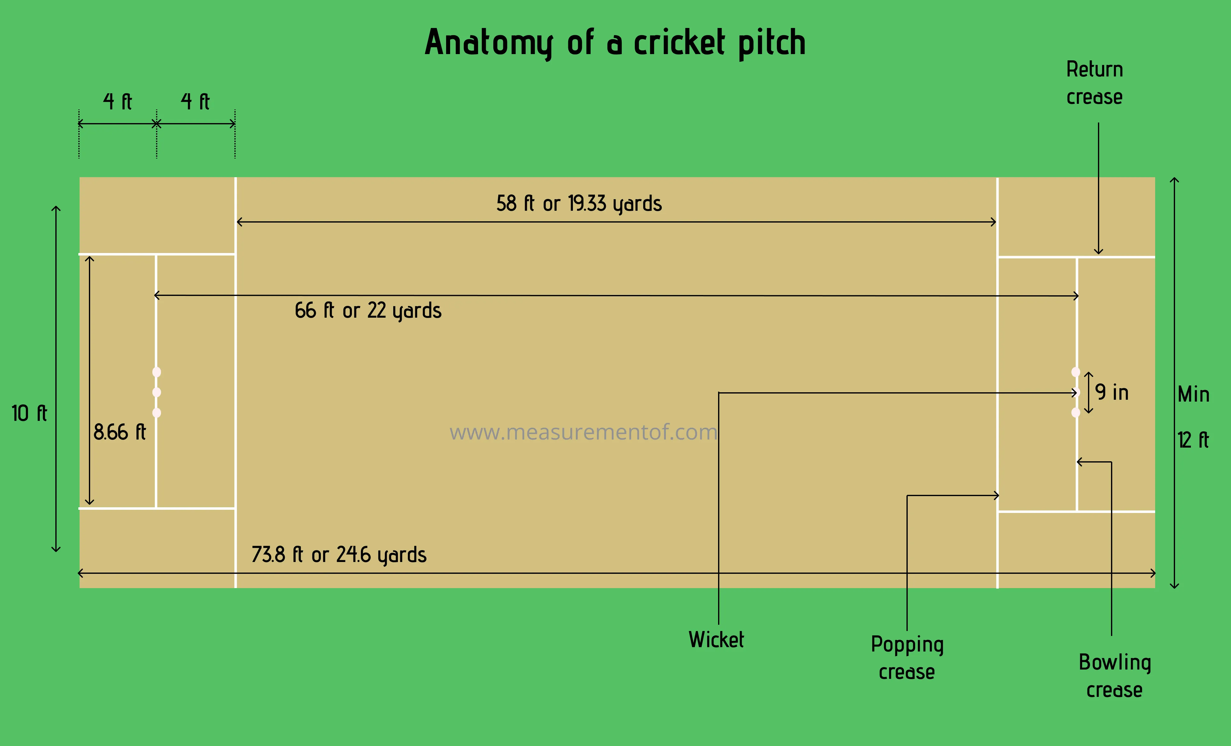 Detailed diagram of a cricket pitch dimensions and markings