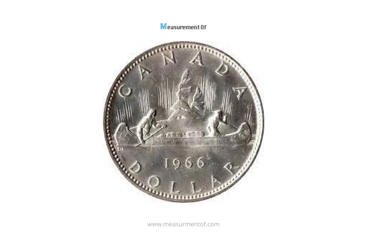 Canada loonie.webp