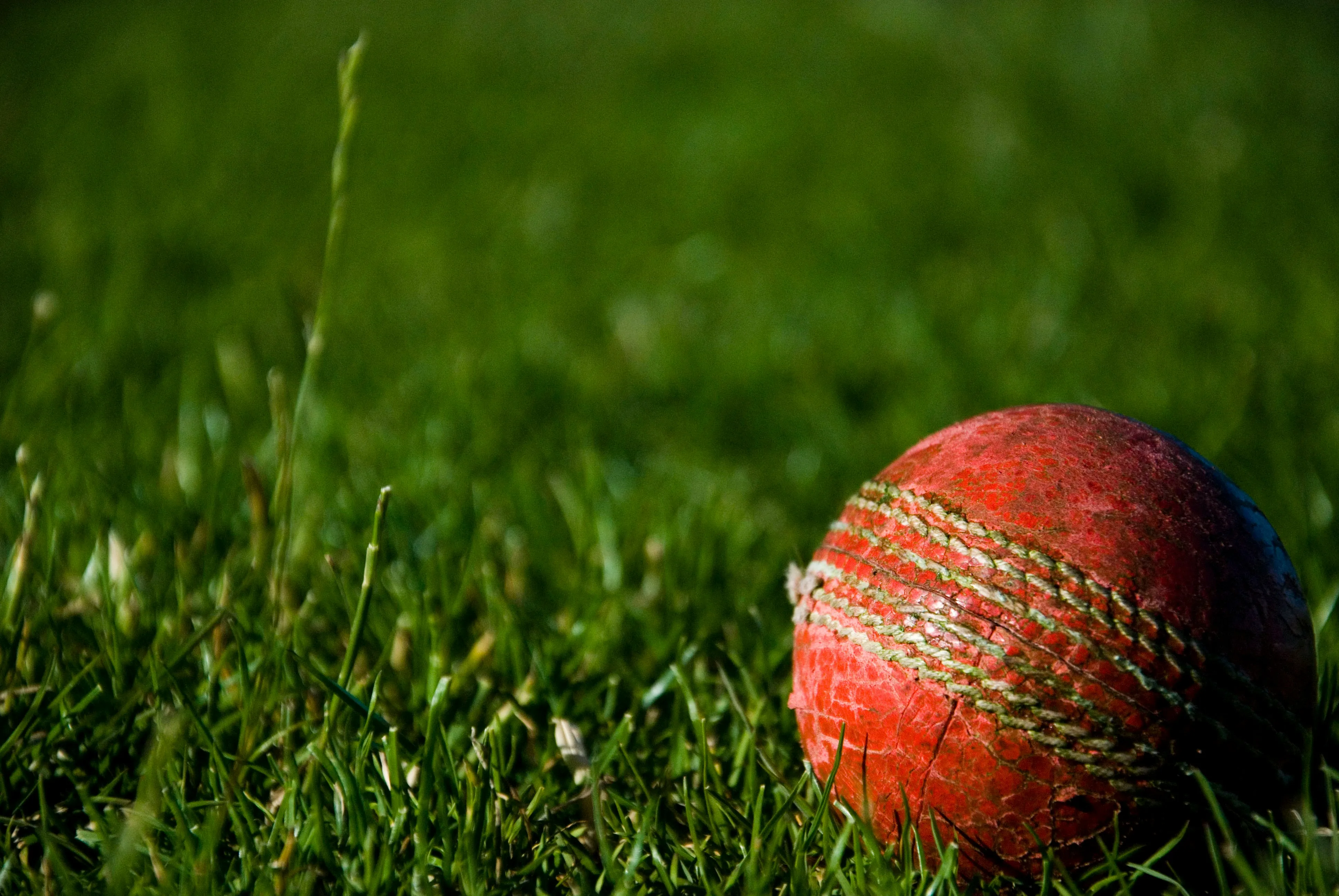 A Cricket ball kept on the green grass.