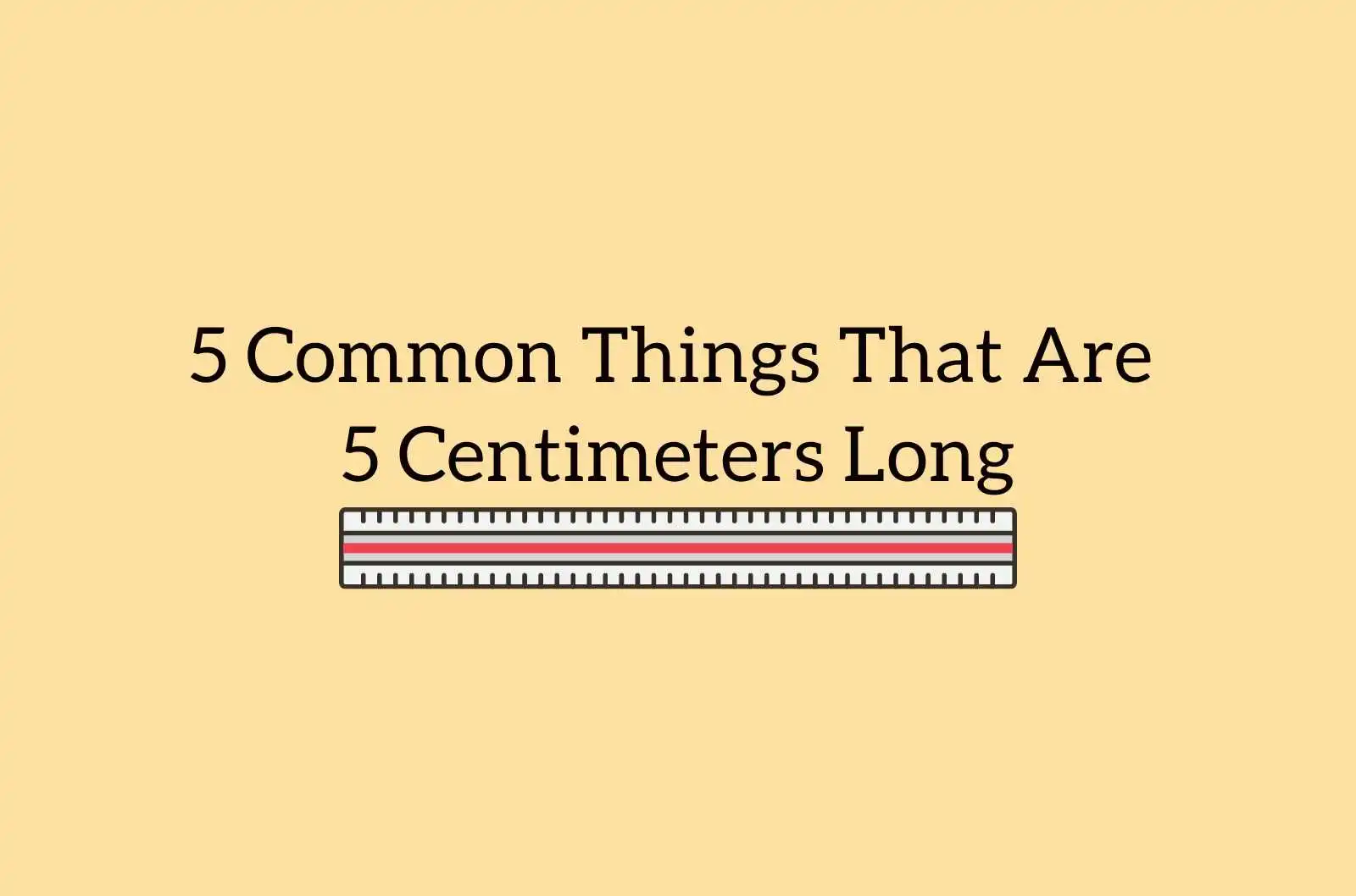 9 Common Things That Are 7 Inches Long