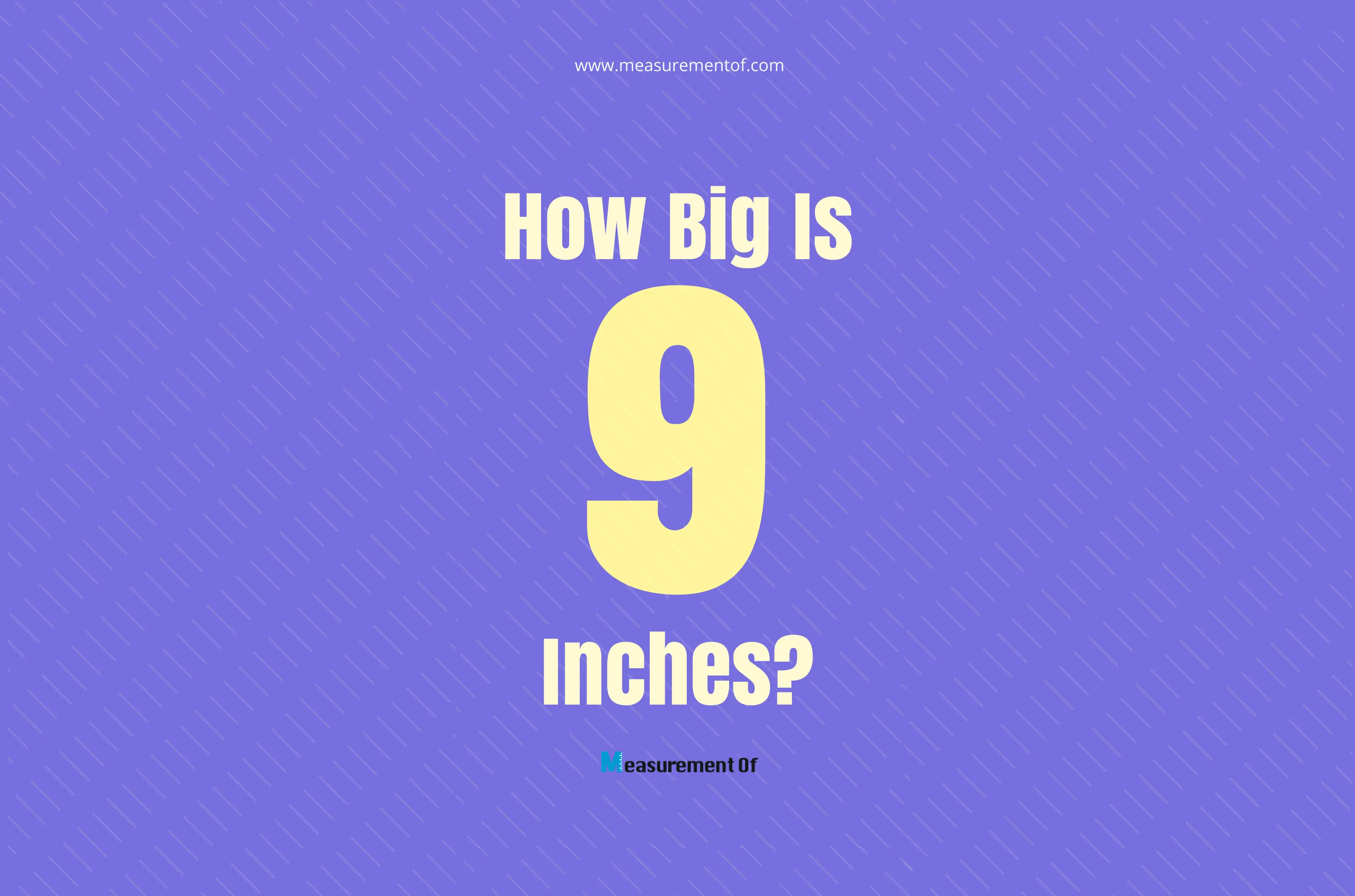 how-big-is-9-inches-compared-to-common-objects