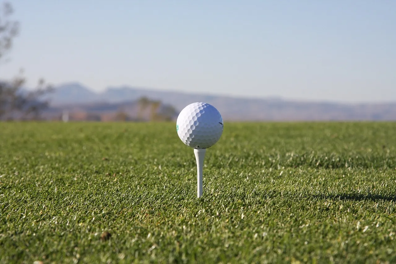 Golf tee.webp