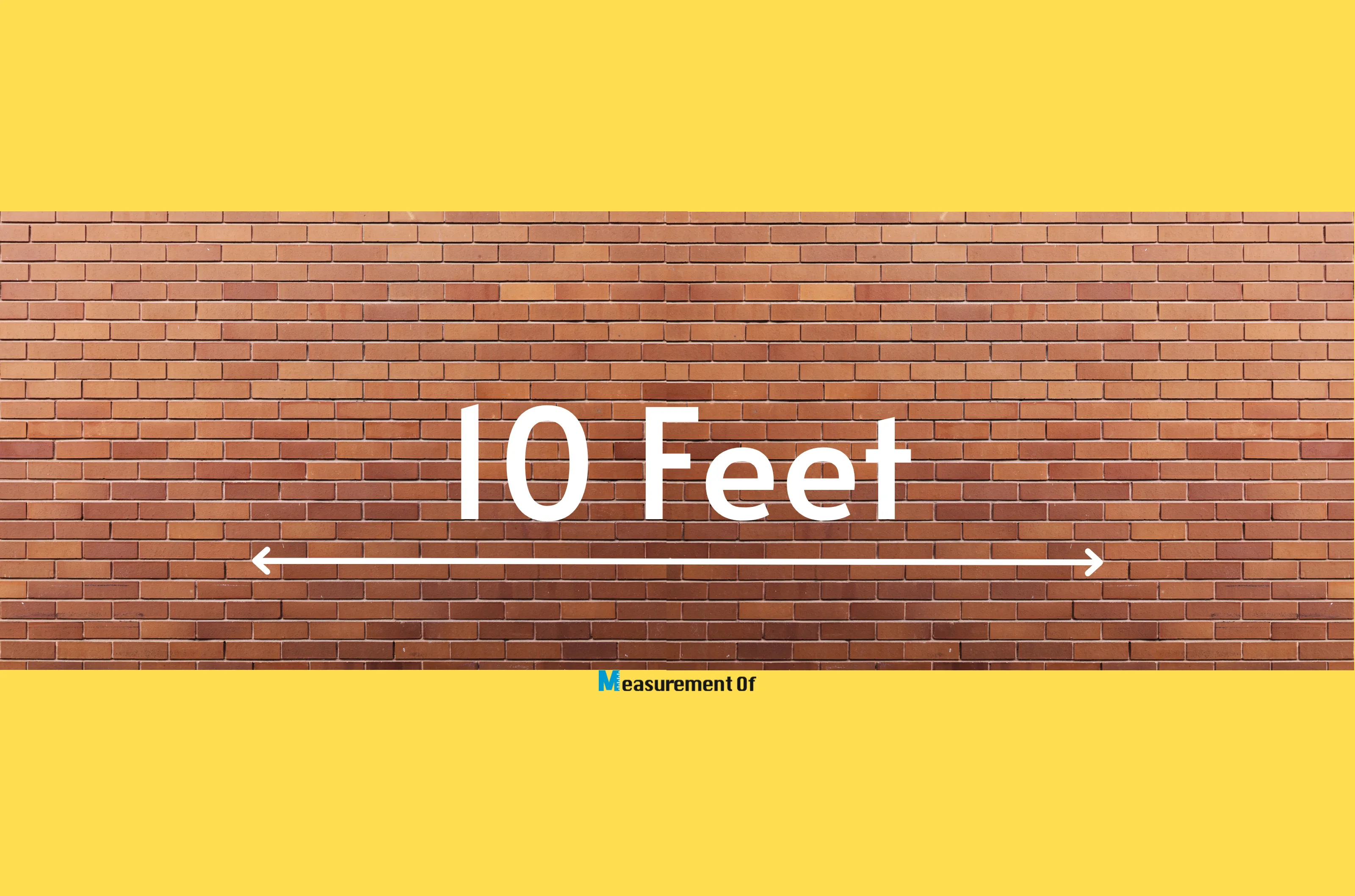 Common Things That Are 10 Feet Long blog header 1600x1058 px.webp