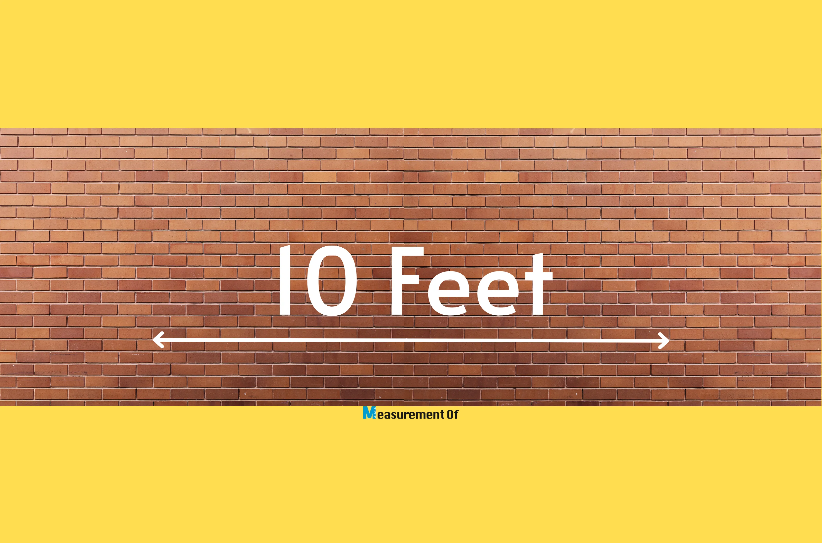 Feet in 10 meters best sale