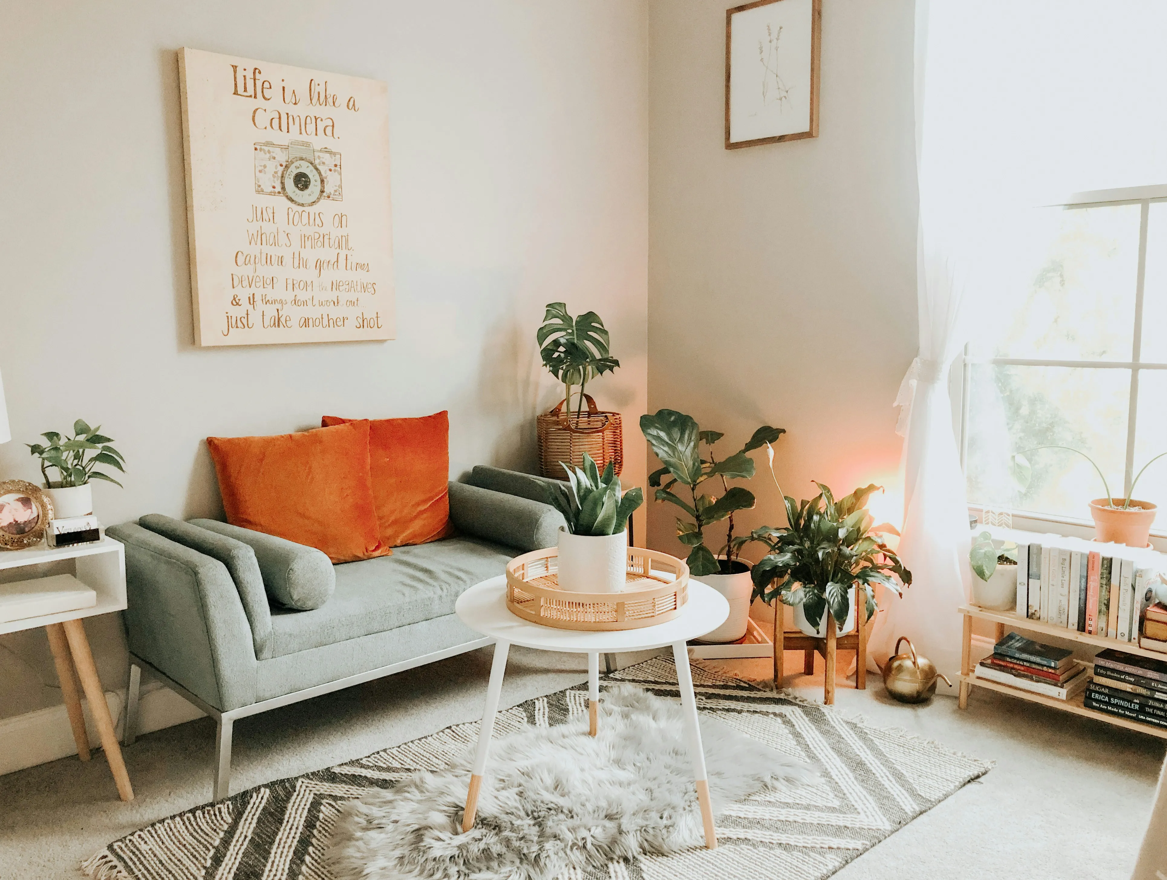 There are several pieces of furniture in a compact living room, including a tiny sofa, a plant-filled table, a stand, a small bookcase, a few wall paintings, and numerous houseplants. The room also has a window that is shaded.