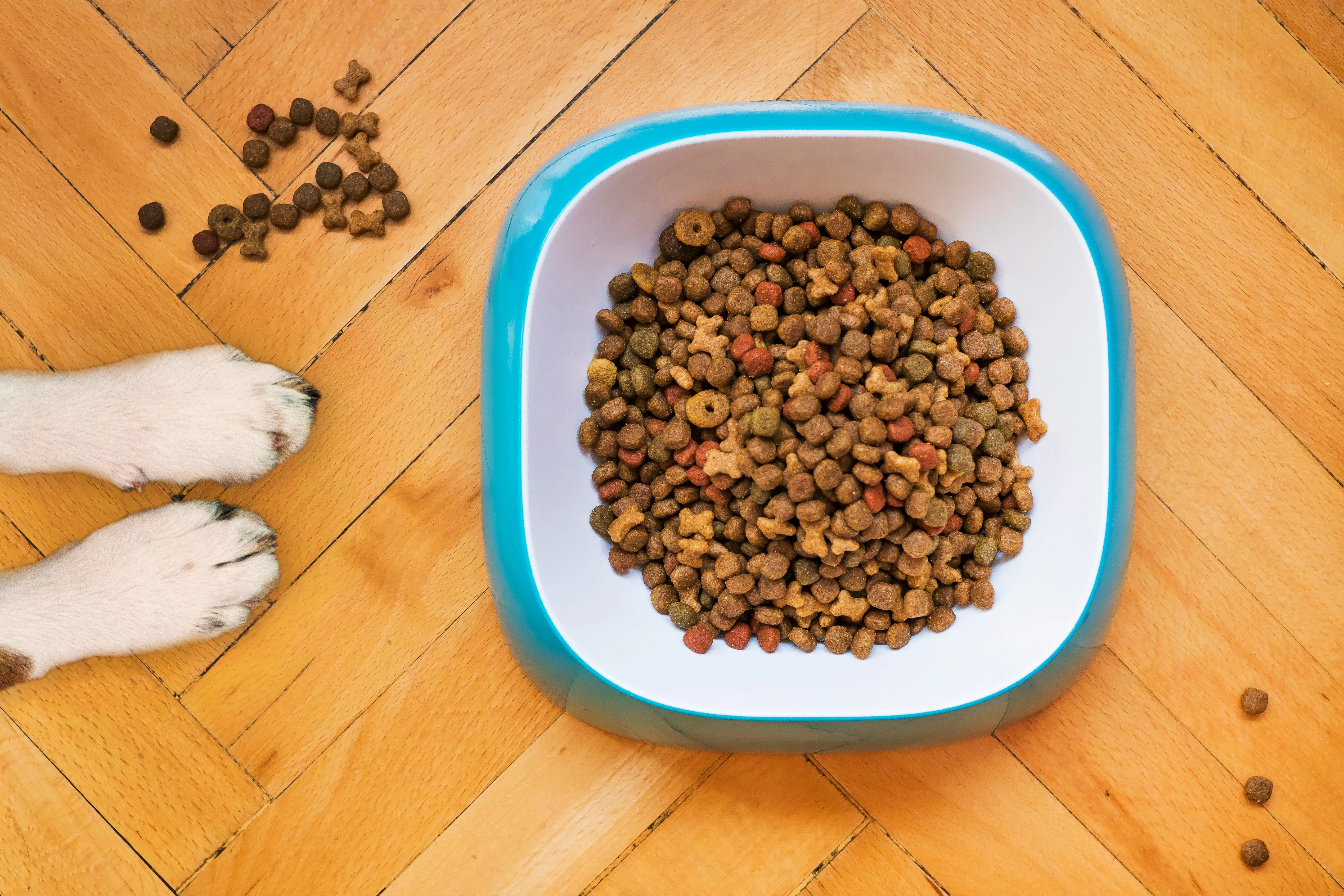 Three Bags of Dog Food can be 30 kilos.webp