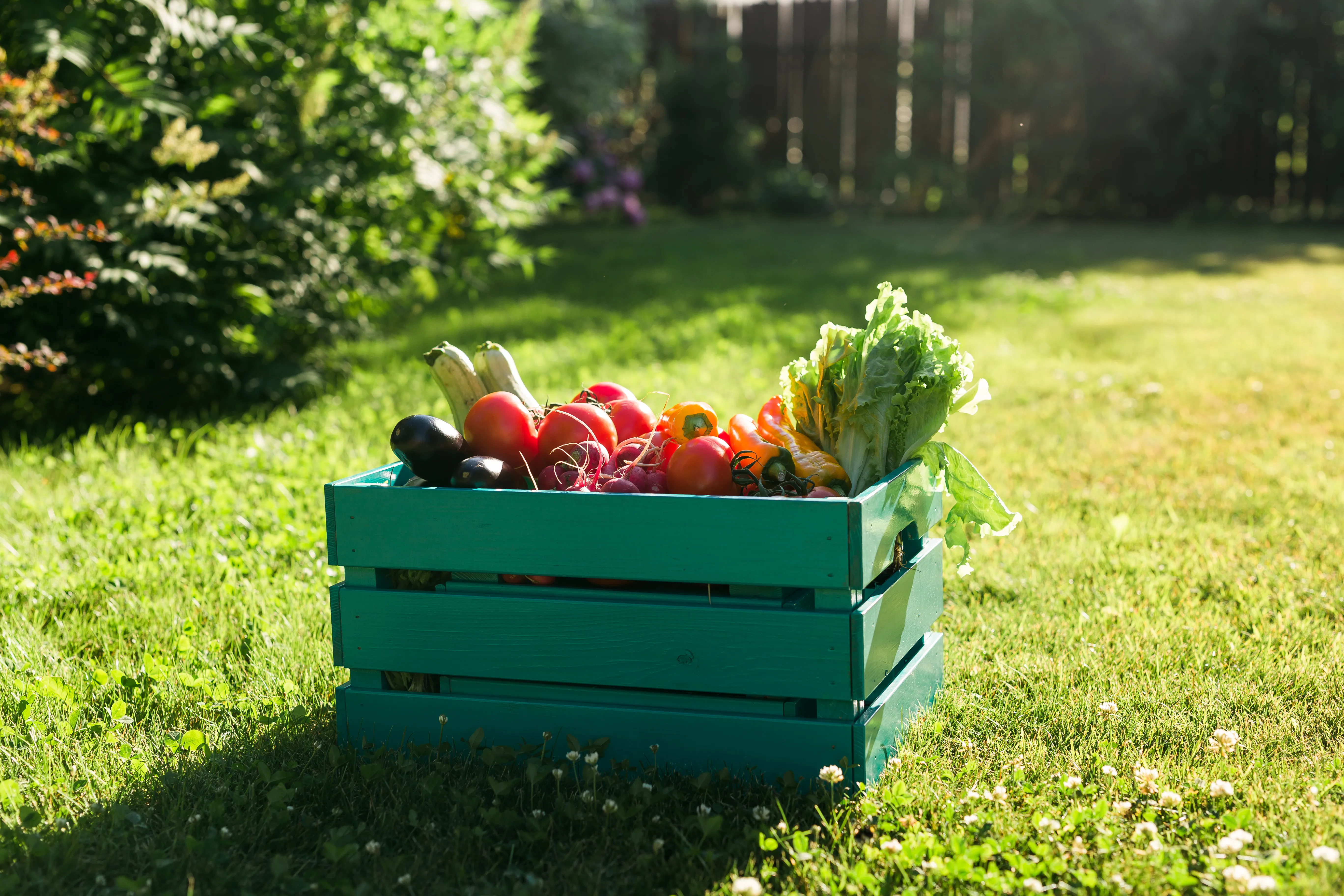 Fresh vegetables in a wooden pallet