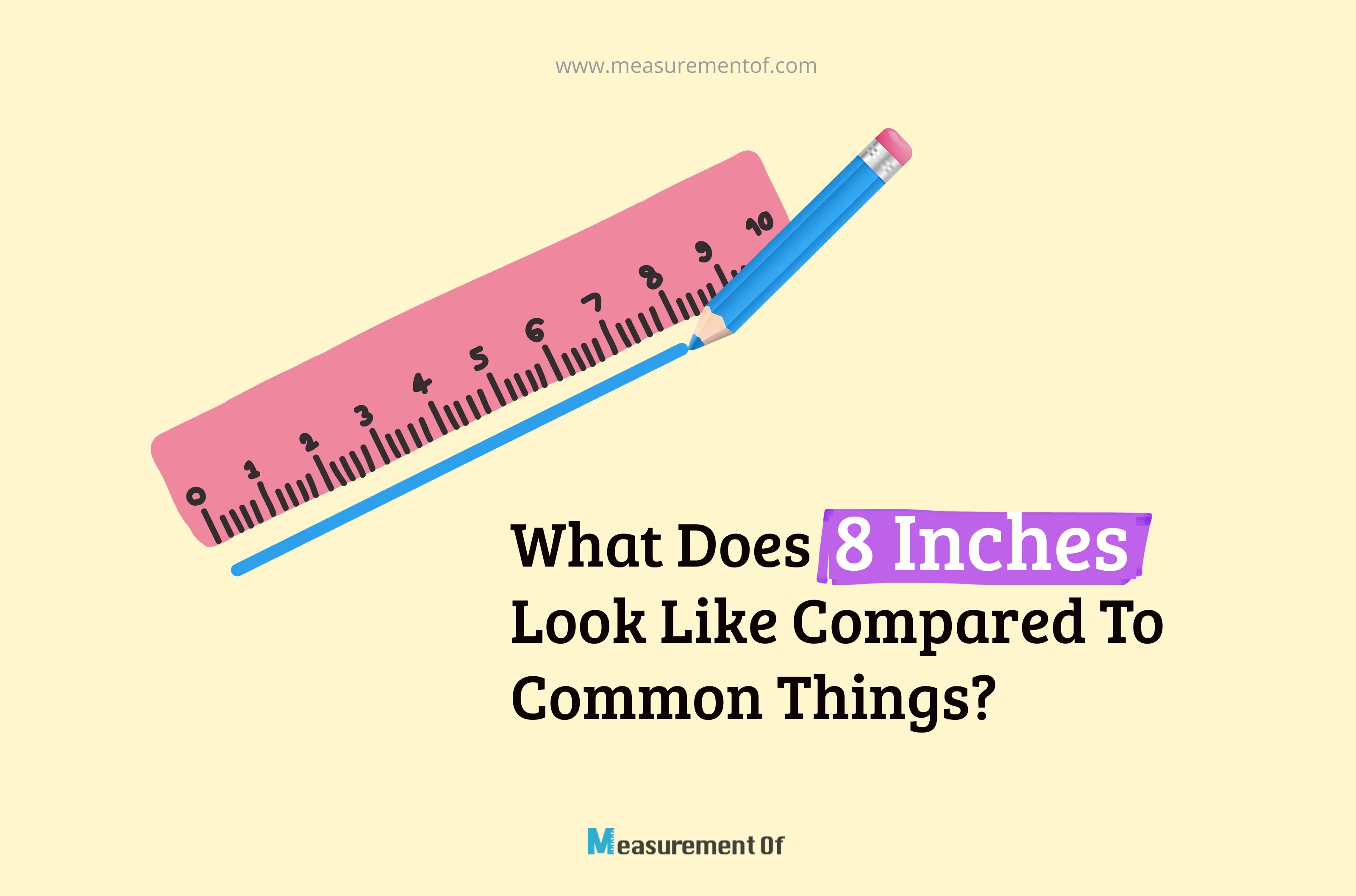 What Does 8 Inches Look Like Compared To Common Things 