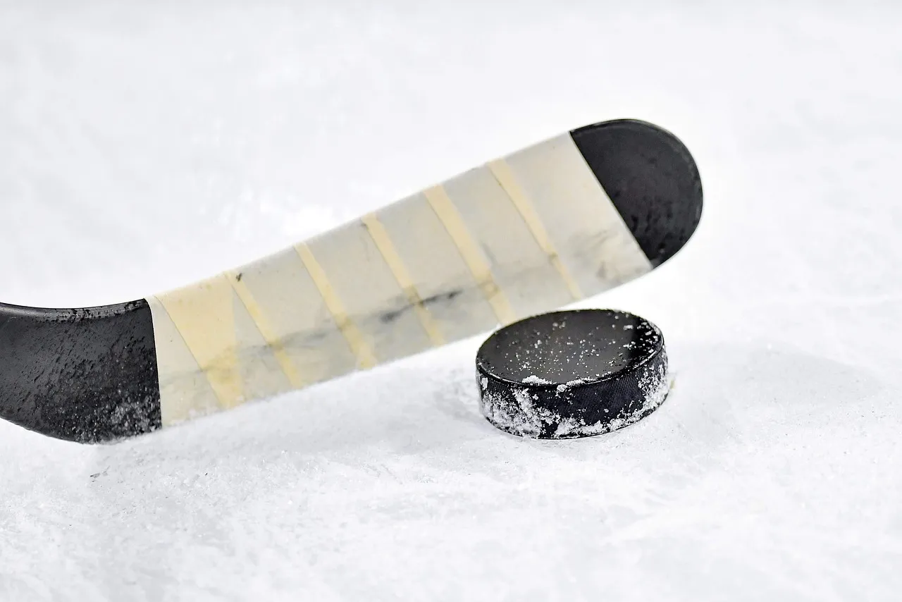 hockey puck and hockey stick on frozen ground